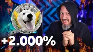 Moedas Meme Fazem Sentido? Veja Como &Eacute; F&aacute;cil Criar Uma Em 30 Segundos