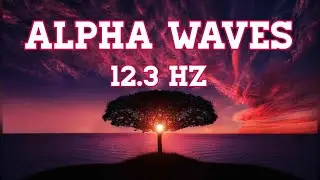 Alpha Waves 12.3  Hz