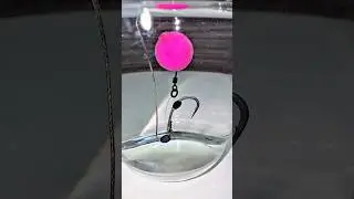 D-rig на СТОПОРЕ #fishing #carpfishing #carp #fish #рыбалка #hook #shortvideo #shorts #song #short