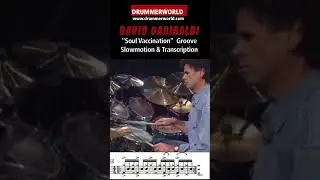 David Garibaldi: Soul Vaccination: David explains the Groove..Slowmotion and Transcription