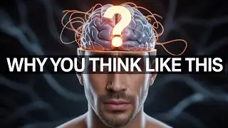 Why We Think The Way We Think??