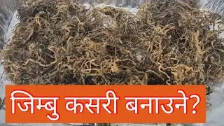 #जिम्बु कसरी बनाउने ? How to make #Jimbu at home? @brisbanegardener #Garlicchives