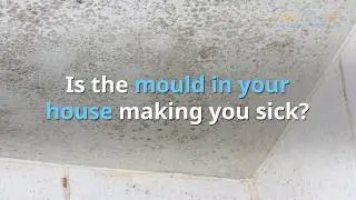 Mould Removal Ireland