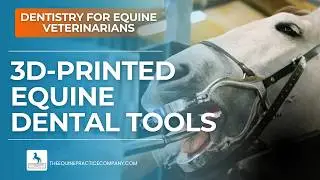 3D-Printed Equine Dental Tools: Game Changer in Tooth Extraction