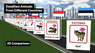 Deadliest Animals From Different Countries  | 3D Comparison | 3D Comparison Animation | Data Chart