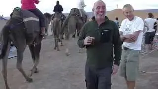 Camel Rodeo