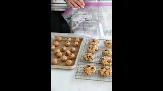 Postpartum Freezer Meals (Meal Prep for New Parents!)
