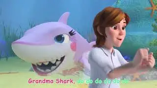 Twinkle Twinkle Little Star 🌟 | Baby Sleep Lullaby | Newborn Calm Video