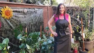 Apron For Dog Grooming, Kitchen and Dishwashing - Waterproof