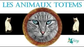 Les Animaux Totem, Le chat