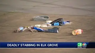 Investigation underway after deadly stabbing in Elk Grove