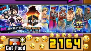 Battle cats - SHORT STREET FIGHTER GACHA OPENING