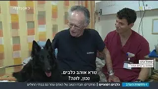 רופא עם זנב: הכלבים שעוזרים לאנשים לחזור ללכת