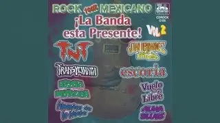 &iexcl;La Banda esta presente! Vol.2 - Hombre de metal
