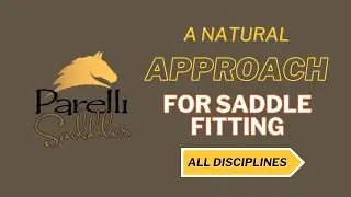 Parelli Saddles Approach To Saddle Fitting