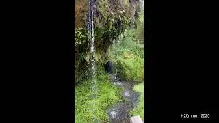 Trickling Rock Waterfall at Blarney Castle &ndash; Ireland&rsquo;s Gentle Whisper (4K)