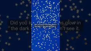 Did You Know? | Amazing Facts in 30 Seconds