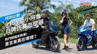 熱門輕檔來換車！直言差異在哪裡？R15 vs. 小阿魯 白牌仿賽怎麼選｜特別企劃