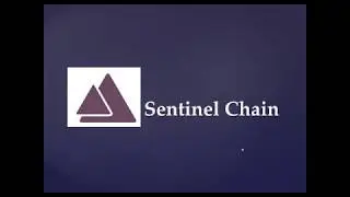 Sentinel Chain ICO Review