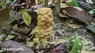 Thailand Teil 5 - Chiao Lan See