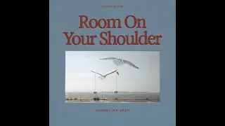 Adam Melchor & Mt. Joy - Room On Your Shoulder (official audio)