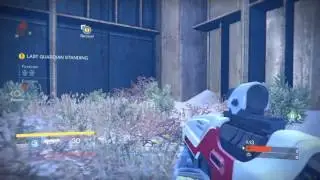 Irishman313 Ultra Clutch & Melee Spree