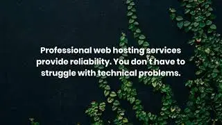 Benefits of Professional Web Hosting Services