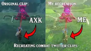 Recreating the BEST BotW combat clips