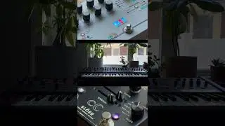 A slow Sunday morning with the Prophet 6, Microcosm and Sl&ouml;er #synth #soundscape #cinematicmusic