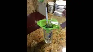 EZ Structured Water at home. Healthy, easy & inexpensive