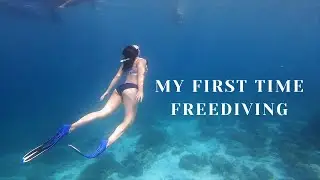 Learning how to freedive | line training, fundiving, pool session, breathing exercise (+ giveaway!!)