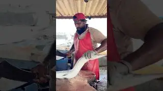 UNBELIEVABLE Gar Fish Cutting Skills! 😳 AMAZING Needle Fish Slicing Mastery #fishing #fishcutting