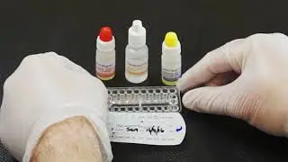 How to perform a Speed Biogram test