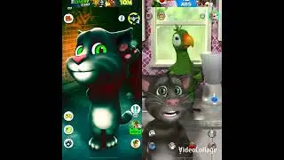 Talking Tom Cat vs Talking Pierre The Parrot Gameplay