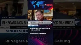 RI Negara Non Blok Siap Gabung OECD dan BRICS