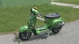 Slowmotion Vespa Training