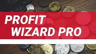 Profit Wizard Pro - Is it For You?
