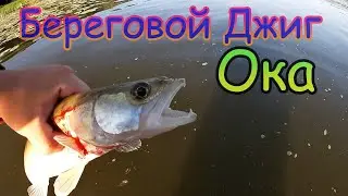 Рыбалка на Оке. Береговой Джиг. Fishing. finezza prototype.