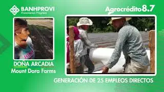 Historia de &eacute;xito de Do&ntilde;a Edna Santos, primera mujer productora de Chile jalape&ntilde;o en El Para&iacute;so.