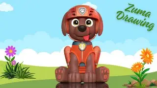 How to draw Zuma from Paw Patrol 