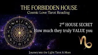⭐CAPRICORN♑TIMELESS TAROT READING  A Past-Life Pull🧲They&rsquo;re Drawn to You and Won&rsquo;t Lose You Again ♾️