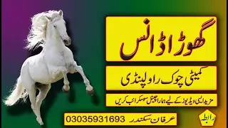 hours dans in pakistan | weding dans performance  kmeti chok rawalpindi | darweesh sami group