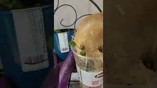 Propagation Station.  Come on aboard!