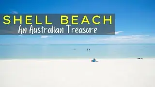 Shell Beach | Travel Guide | Shark Bay Western Australia