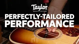 Гриф Taylor Action Control: инновации и изобретательность, отмеченные золотой этикеткой.