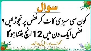 Sawal Jawab | Islamic Questions and Answers | Urdu Islami Paheliyan | Urdu Quiz | Bm Urdu Quiz 