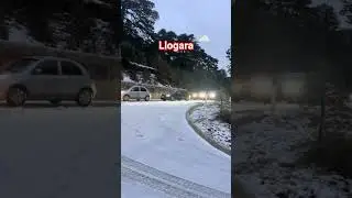 debore sot ne llogare #alborginltv pamjet tenda kondaj#vlore #shqiptaret#policia #trending