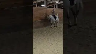 Im learning sm on him