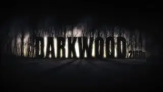 Darkwood PC Gameplay 4K 2160p
