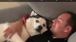 ray hall me and my pet dog   #memes